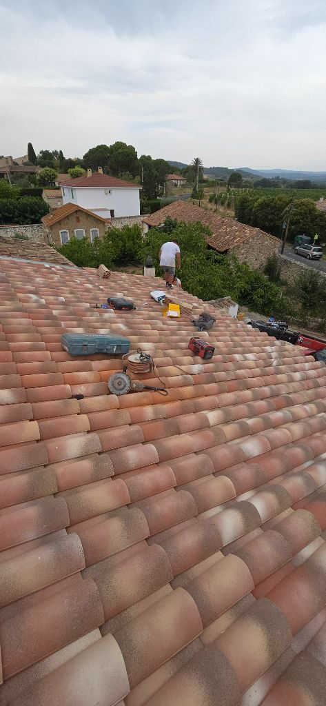 Réfection de toiture en village